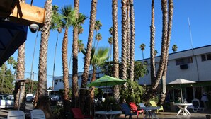 A patio area with tall palm trees, outdoor seating, and a building in the background. - Los Angeles Adventurer All Suite Hotel at LAX (Inglewood)