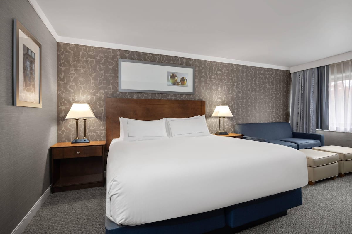Chambre, 1 très grand lit et 1 canapé-lit, non-fumeur