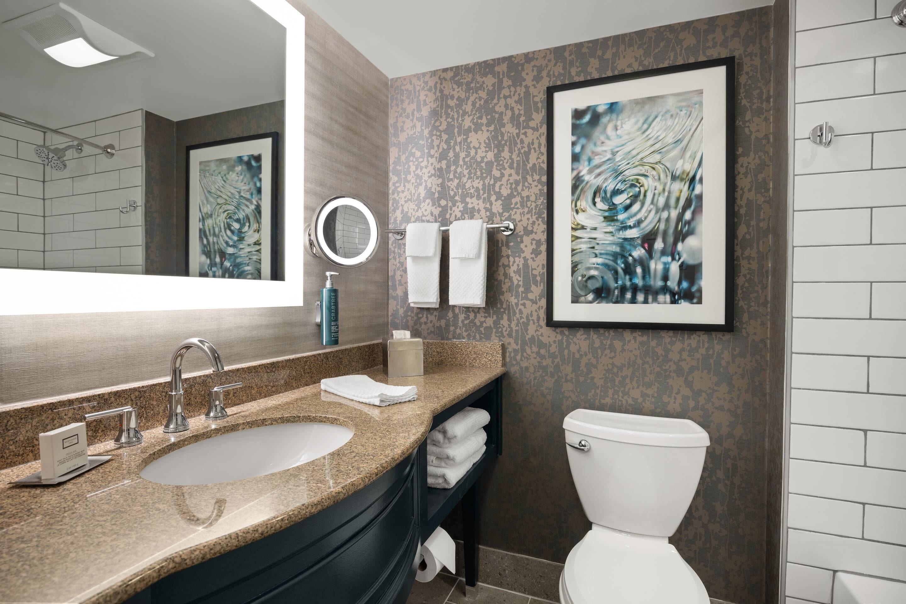 A modern bathroom with a large sink, a toilet, a mirror, and two framed artworks on the wall.