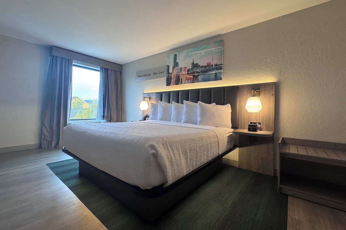 Habitación Deluxe, 1 cama King size, para no fumadores | Escritorio, insonorización y tabla de planchar con plancha