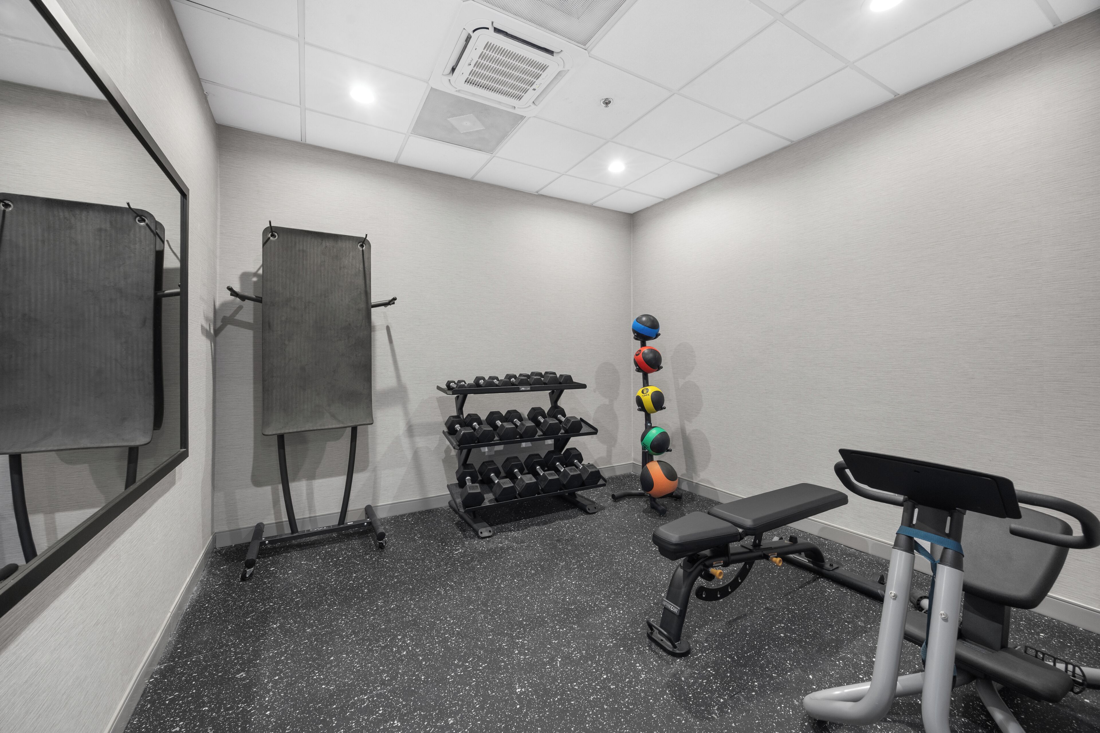 A gym with a bench, dumbbells, and a medicine ball rack.