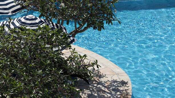 Una piscina con agua azul, rodeada de baldosas de piedra. Hay sombrillas a rayas y un árbol que da sombra.