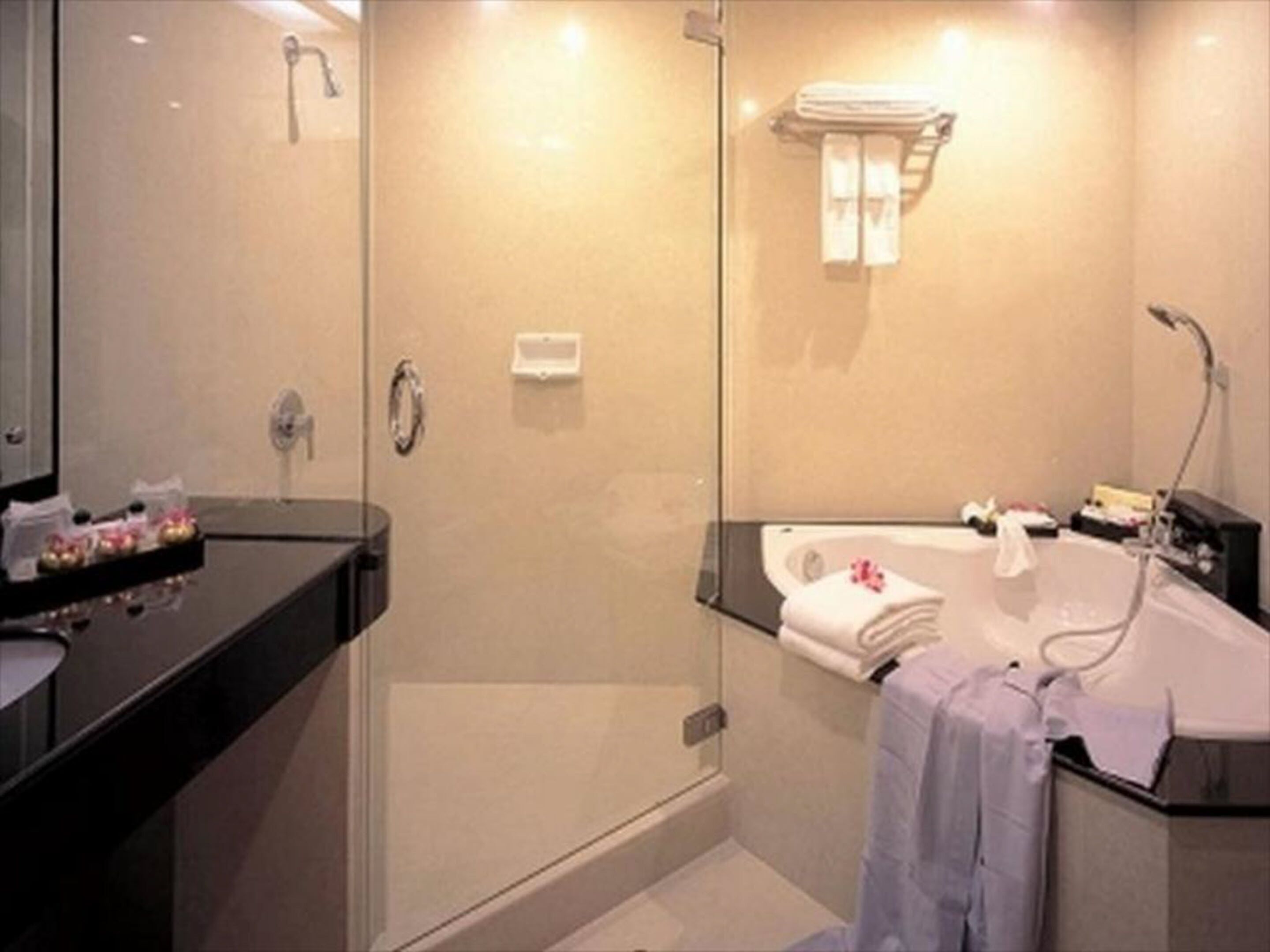 Photo - Indra Regent Hotel