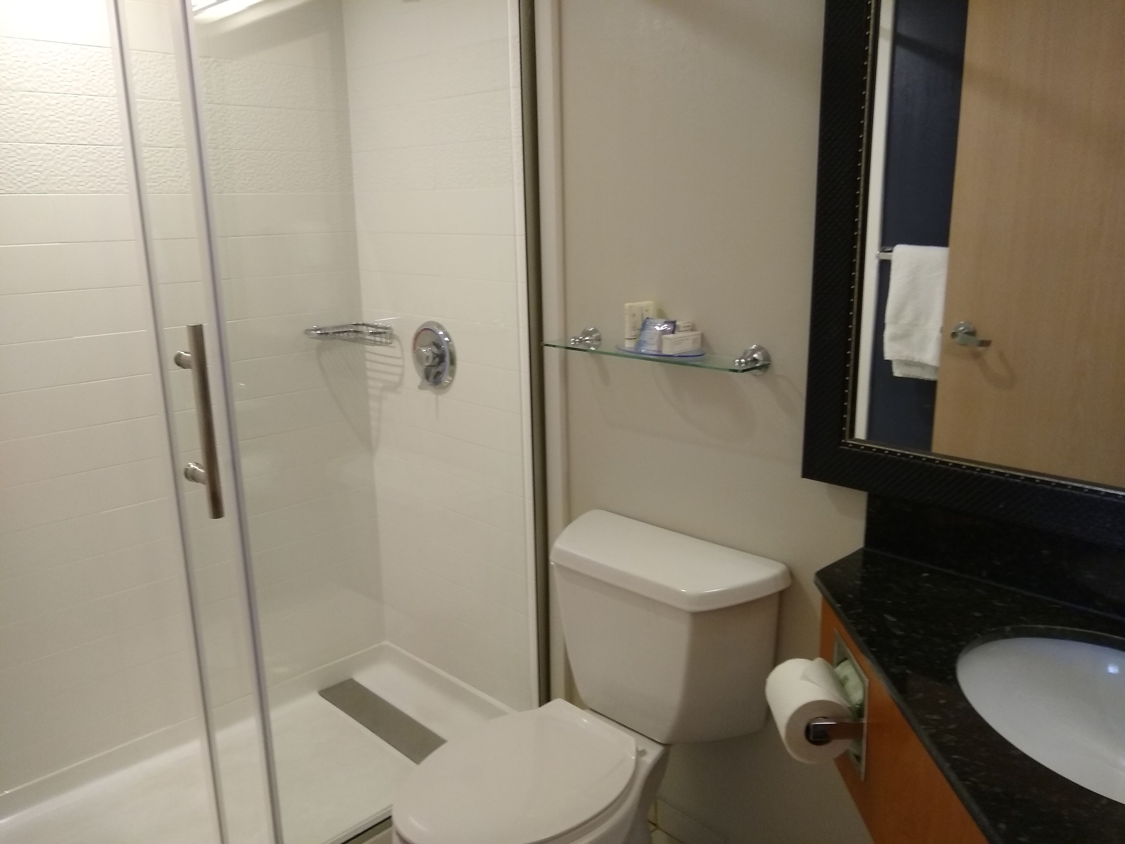 room, 1 king bed | bathroom | combined shower/bathtub, free toiletries, hair dryer, towels