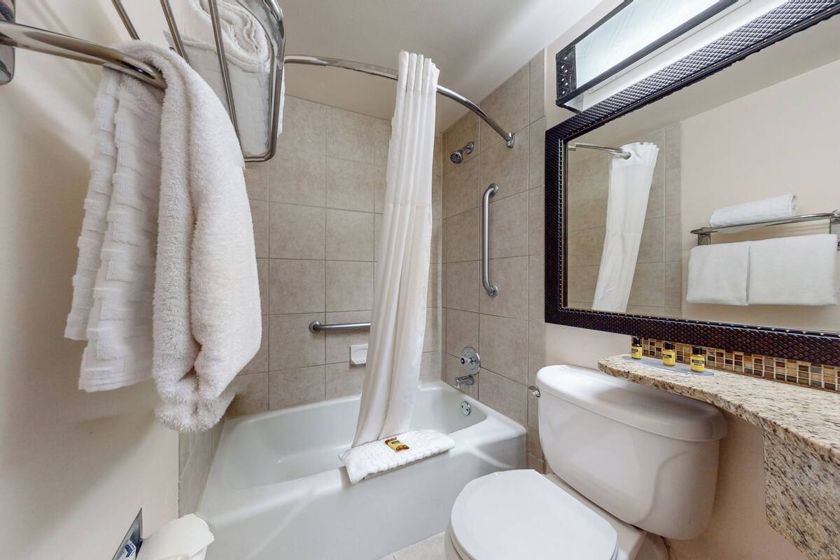 standard room, 1 queen bed, non smoking | bathroom | eco-friendly toiletries, hair dryer, towels, soap