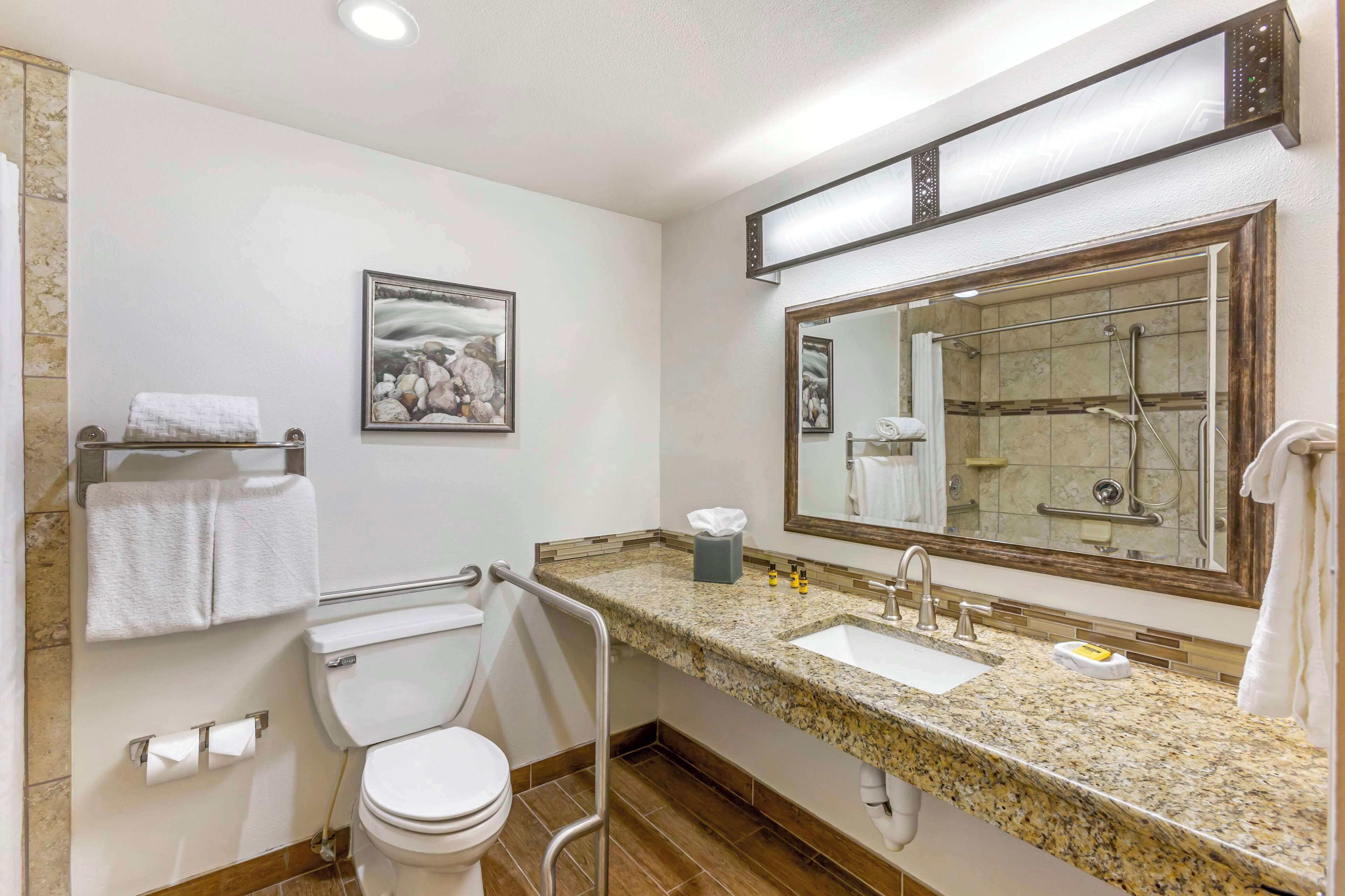 Chambre Standard, 1 très grand lit, accessible aux personnes à mobilité réduite, non-fumeur | Salle de bain
