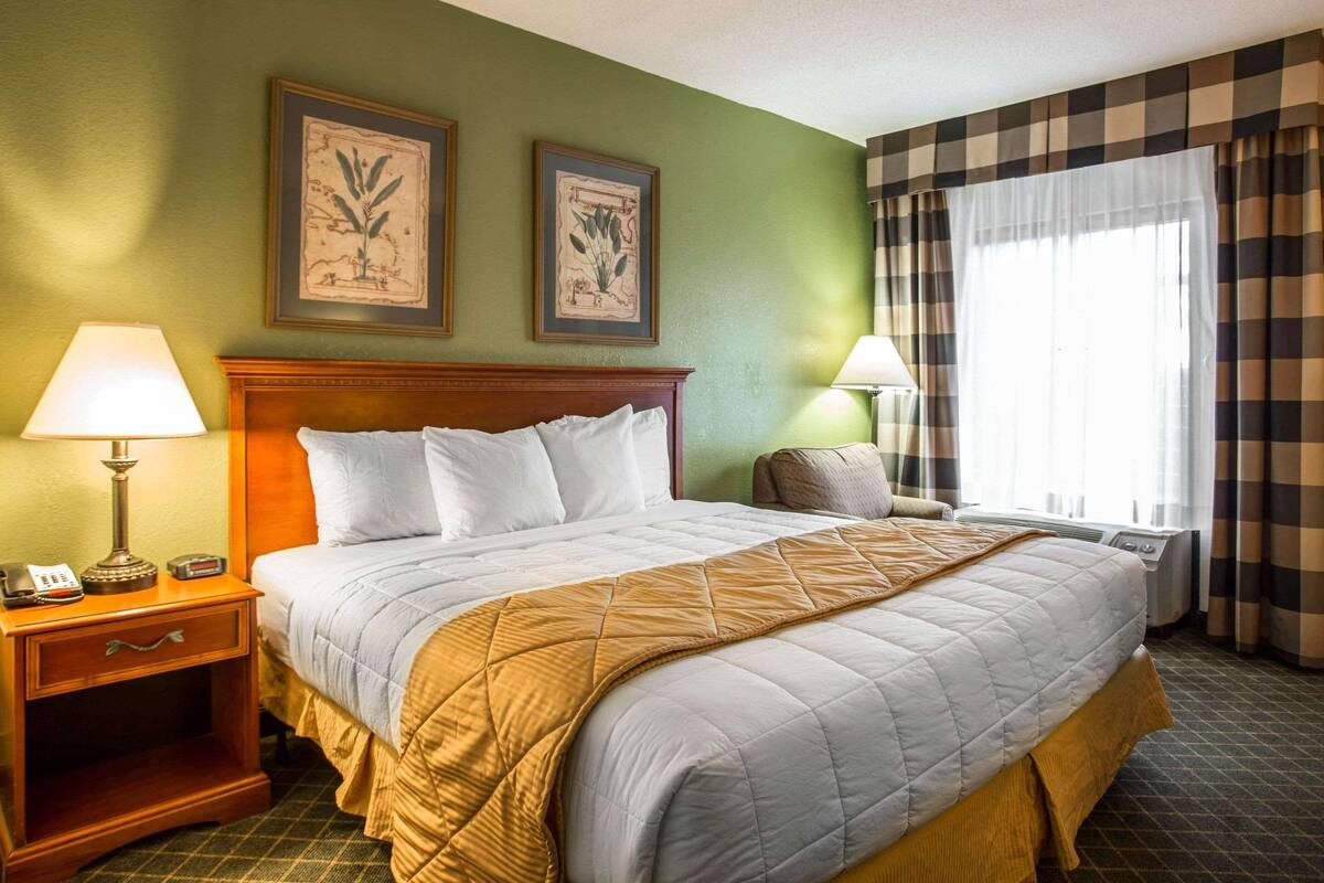 Un lit bien fait, recouvert d’une couette blanche et d’un plaid de couleur moutarde. Il y a deux tables de chevet, chacune avec une lampe et un téléphone. Les murs de la pièce sont peints en vert, et deux reproductions botaniques encadrées sont accrochées au-dessus du lit.