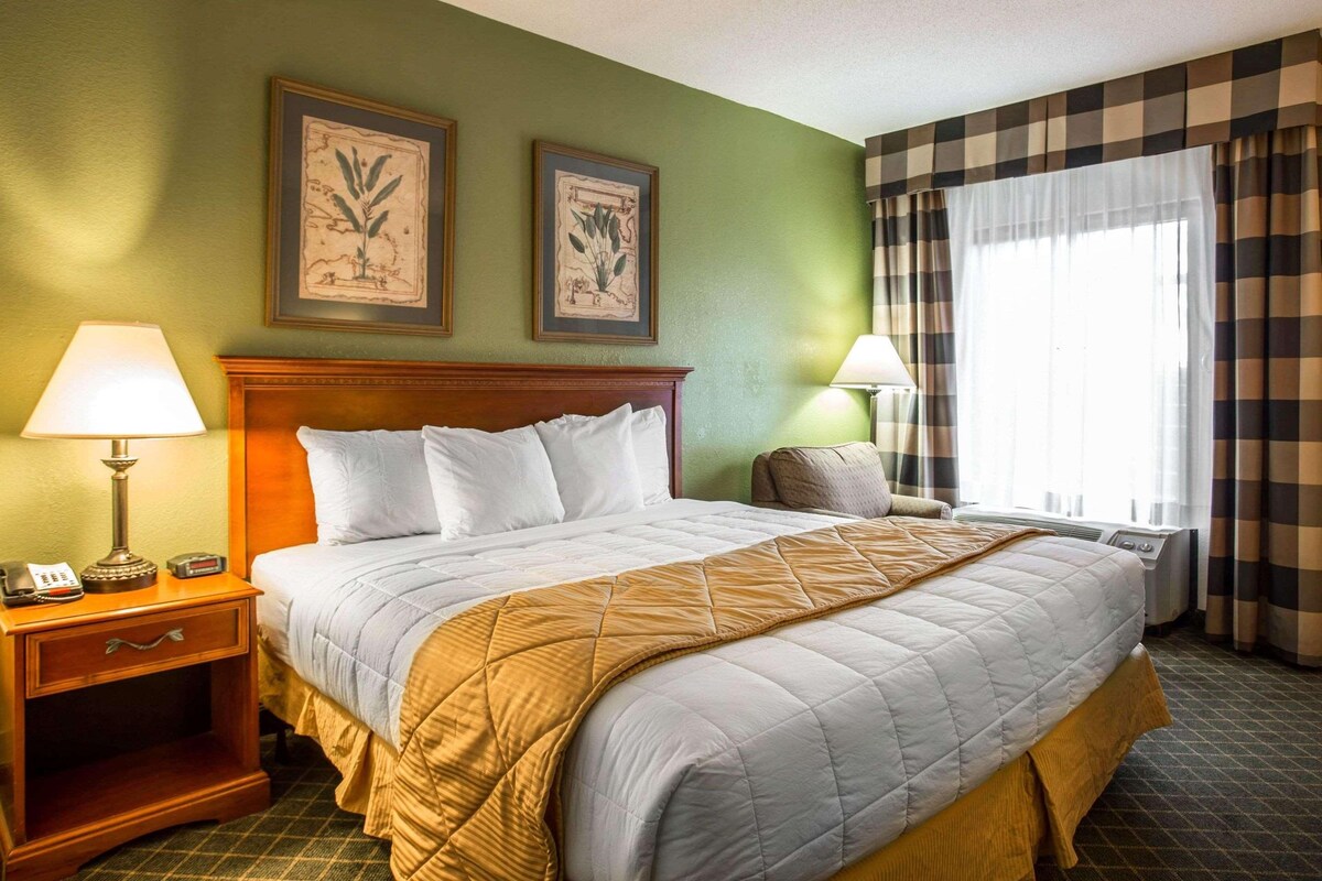 Une chambre d’hôtel avec un grand lit, deux tables de chevet, une commode, une fenêtre avec des rideaux et deux tableaux accrochés au mur.