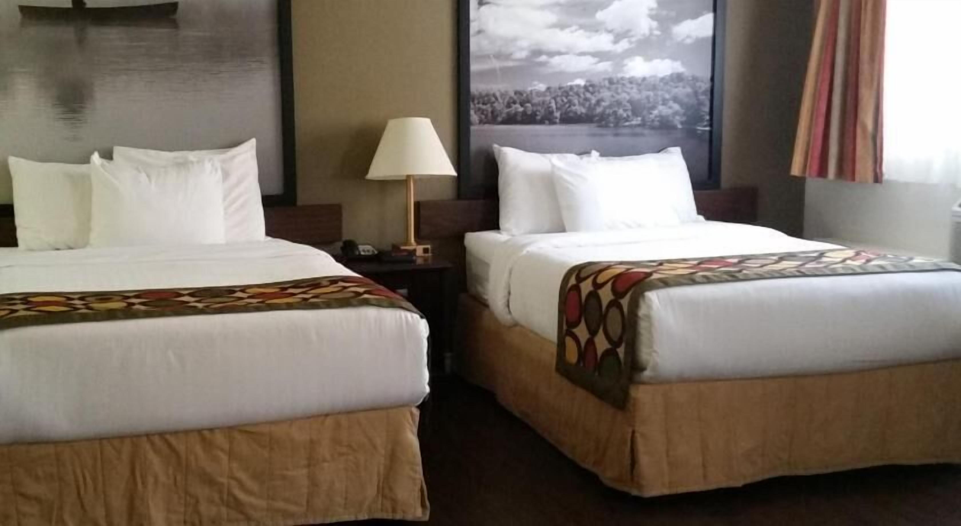 Edredón, camas Select Comfort, decoración personalizada y escritorio 