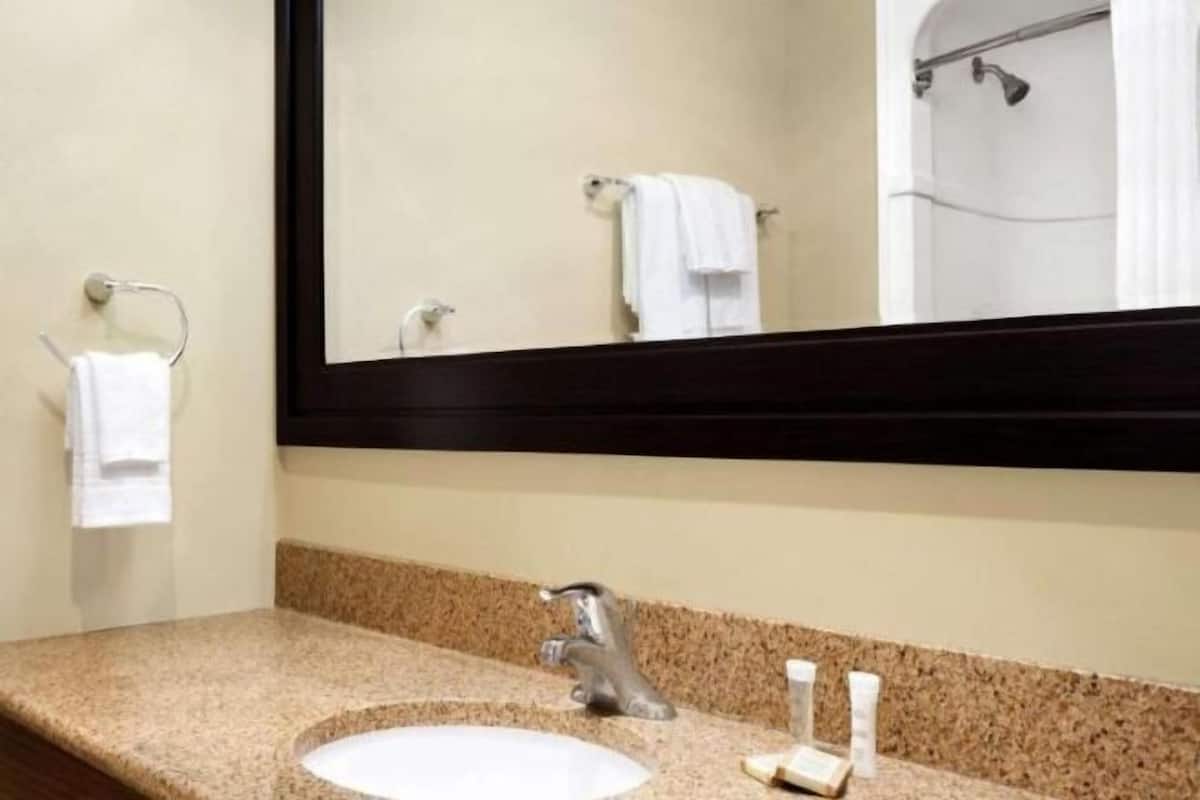 Combined shower/bathtub, free toiletries, hair dryer, towels