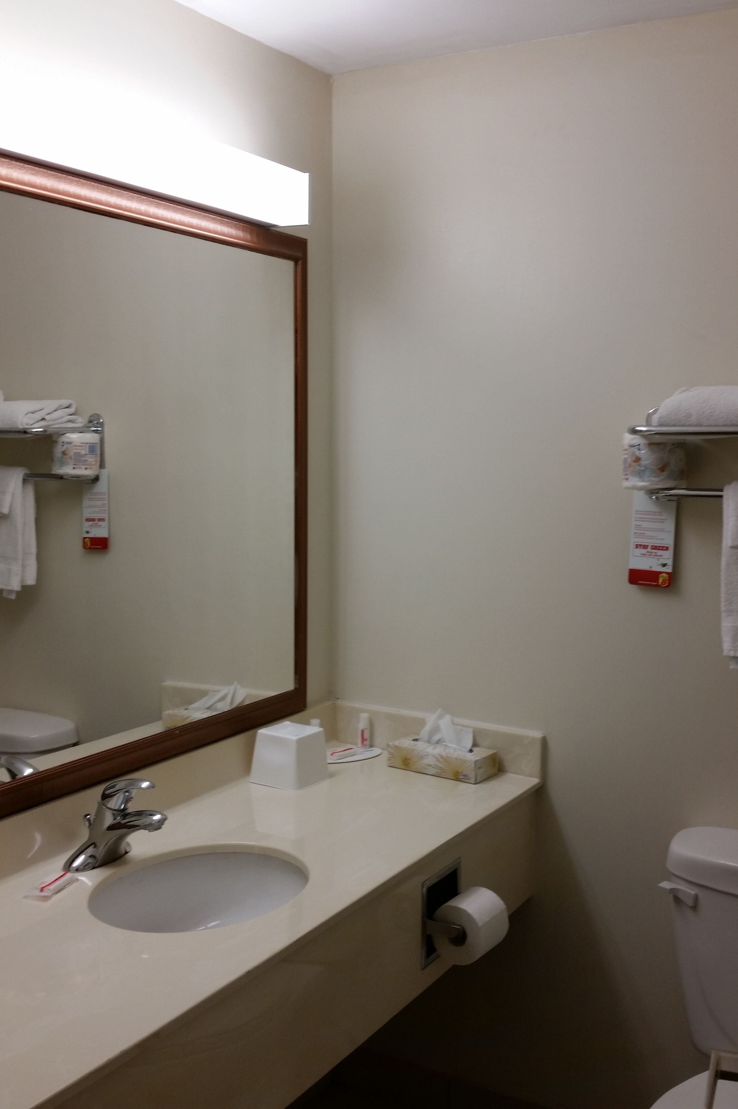 Baño con lavabo, espejo, inodoro y toallero.