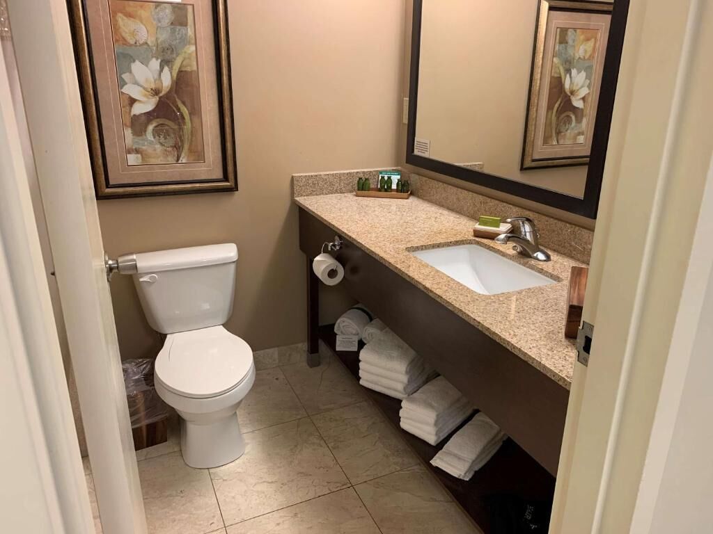 A bathroom with a white toilet, a sink with a mirror above it, and framed artwork on the wall.