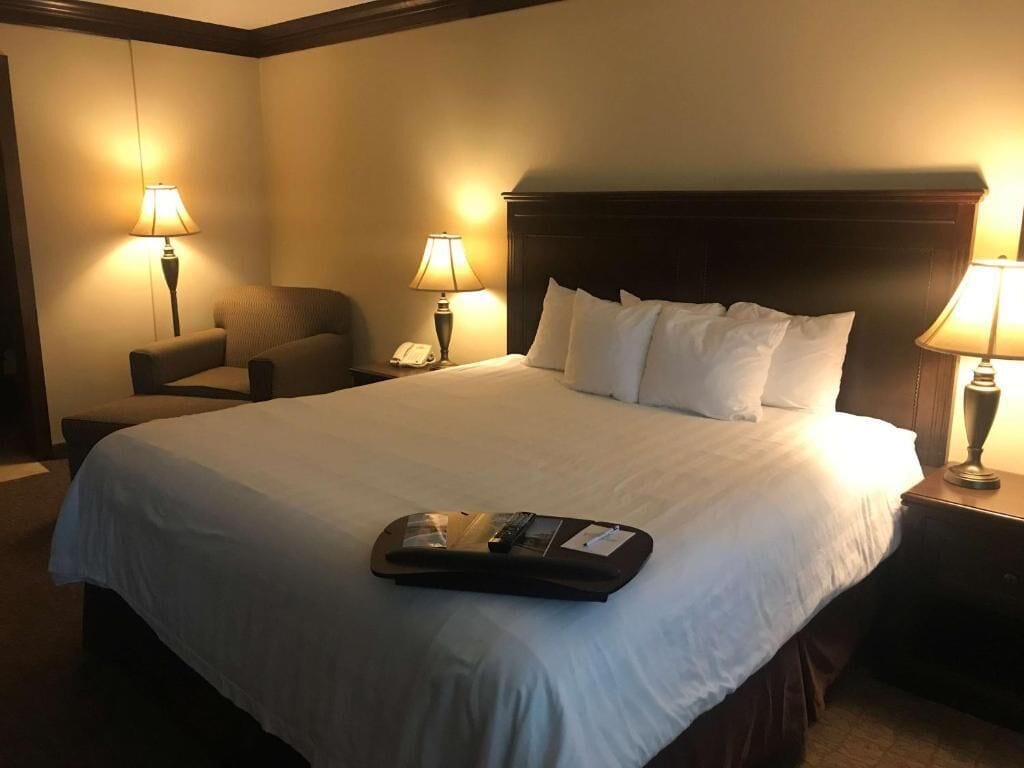 room, 1 king bed | premium bedding, down duvets, pillow-top beds, in-room safe