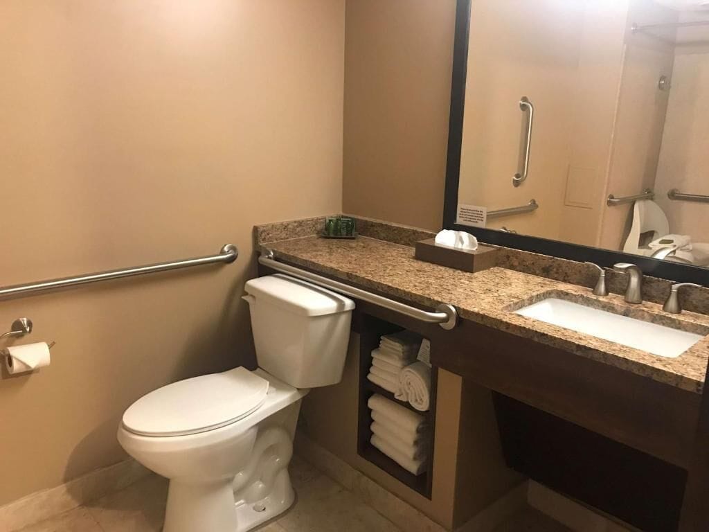 Un baño con inodoro, lavabo, espejo y toallero.