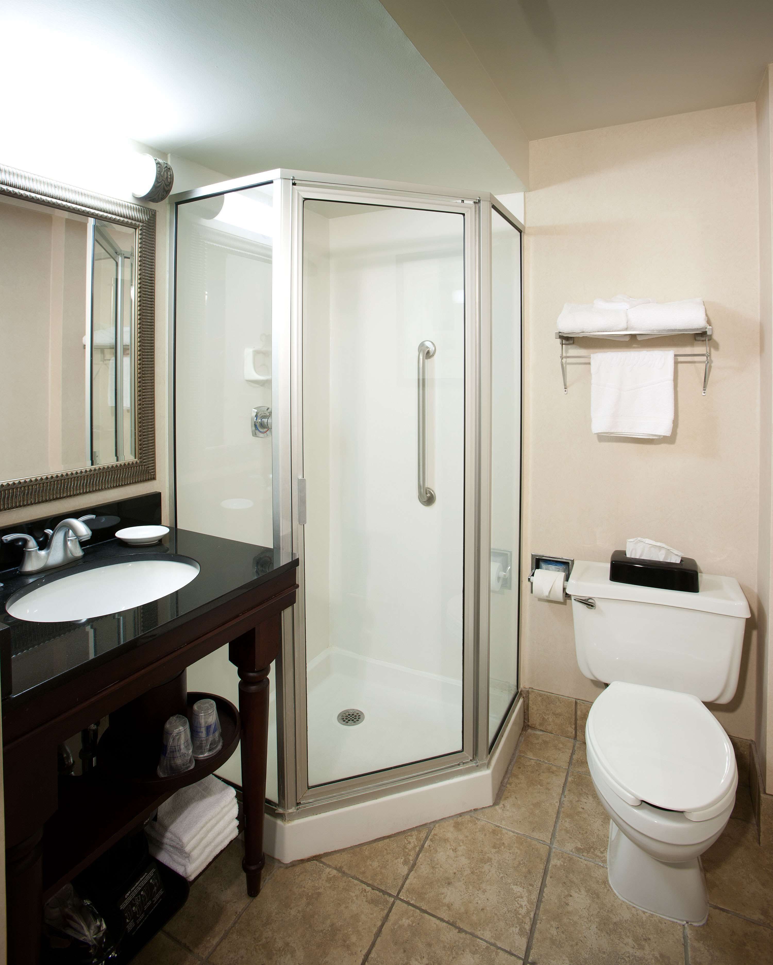 standard room, 1 king bed | bathroom shower