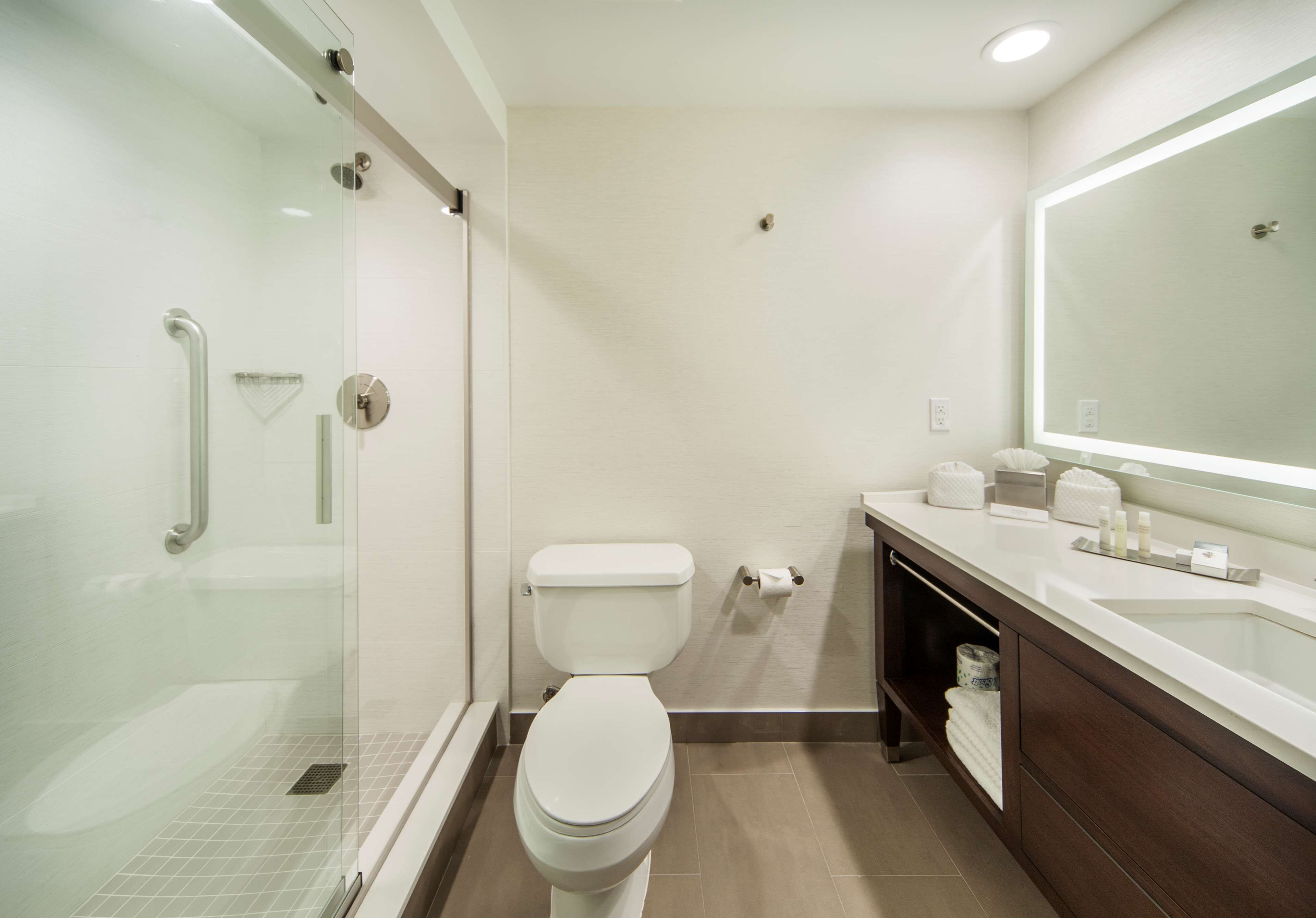A modern bathroom with a glass shower enclosure, a white toilet, a sink with a mirror, and a dark wooden vanity.
