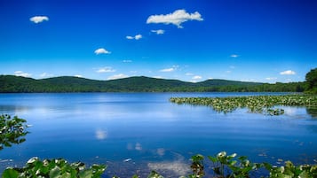 En stilla sjö med en klar himmel, omgiven av frodiga, gröna kullar.