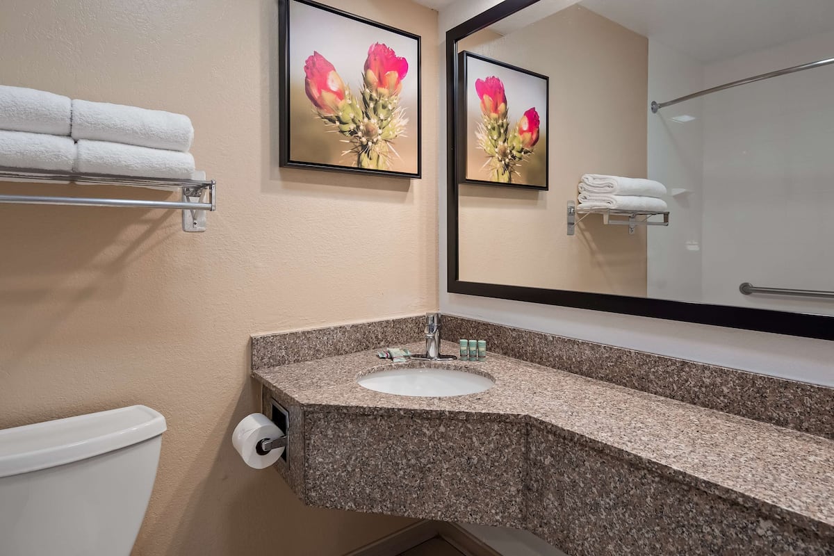 combined shower/bathtub, deep-soaking bathtub, eco-friendly toiletries