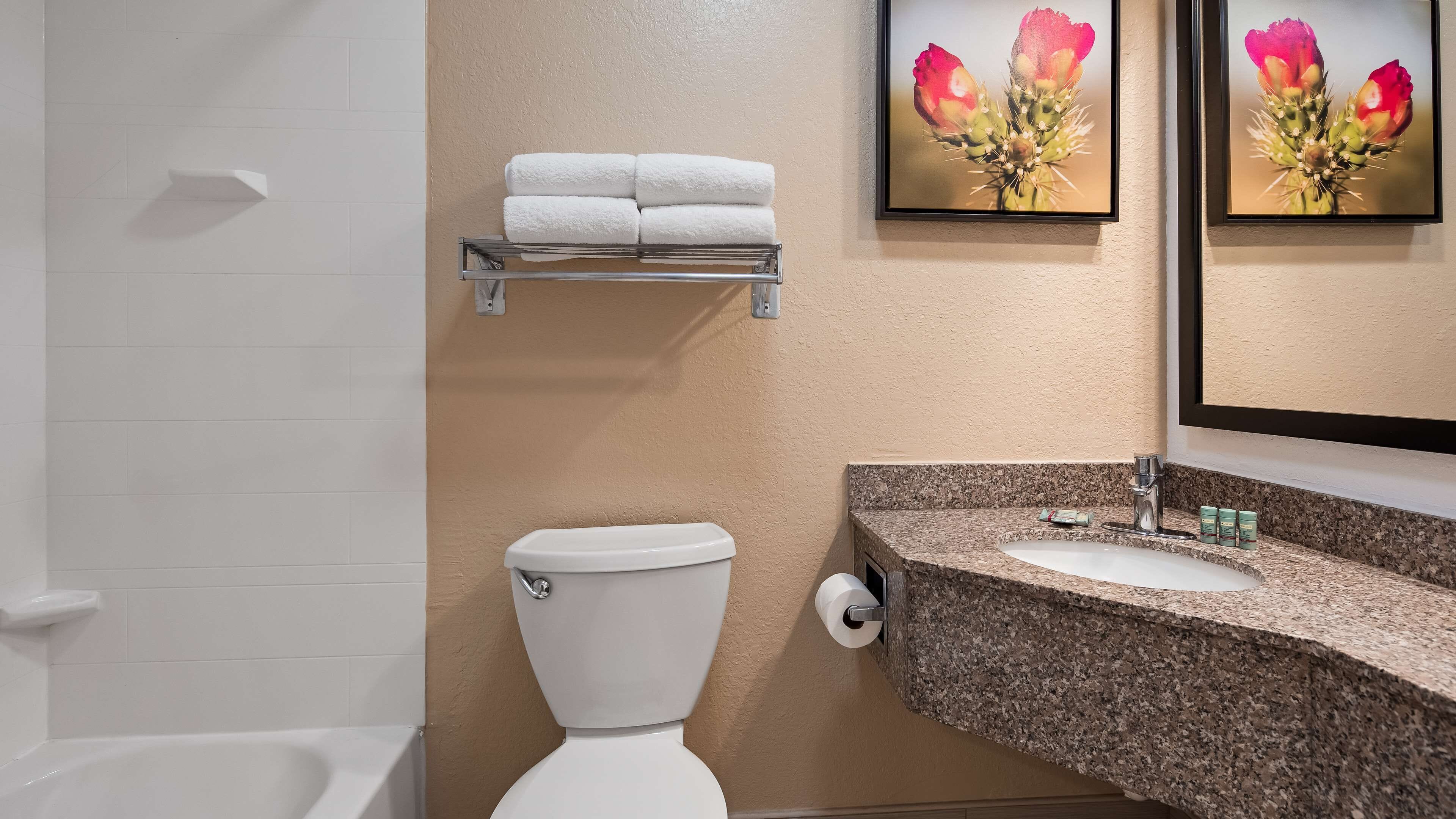 combined shower/bathtub, deep-soaking bathtub, eco-friendly toiletries