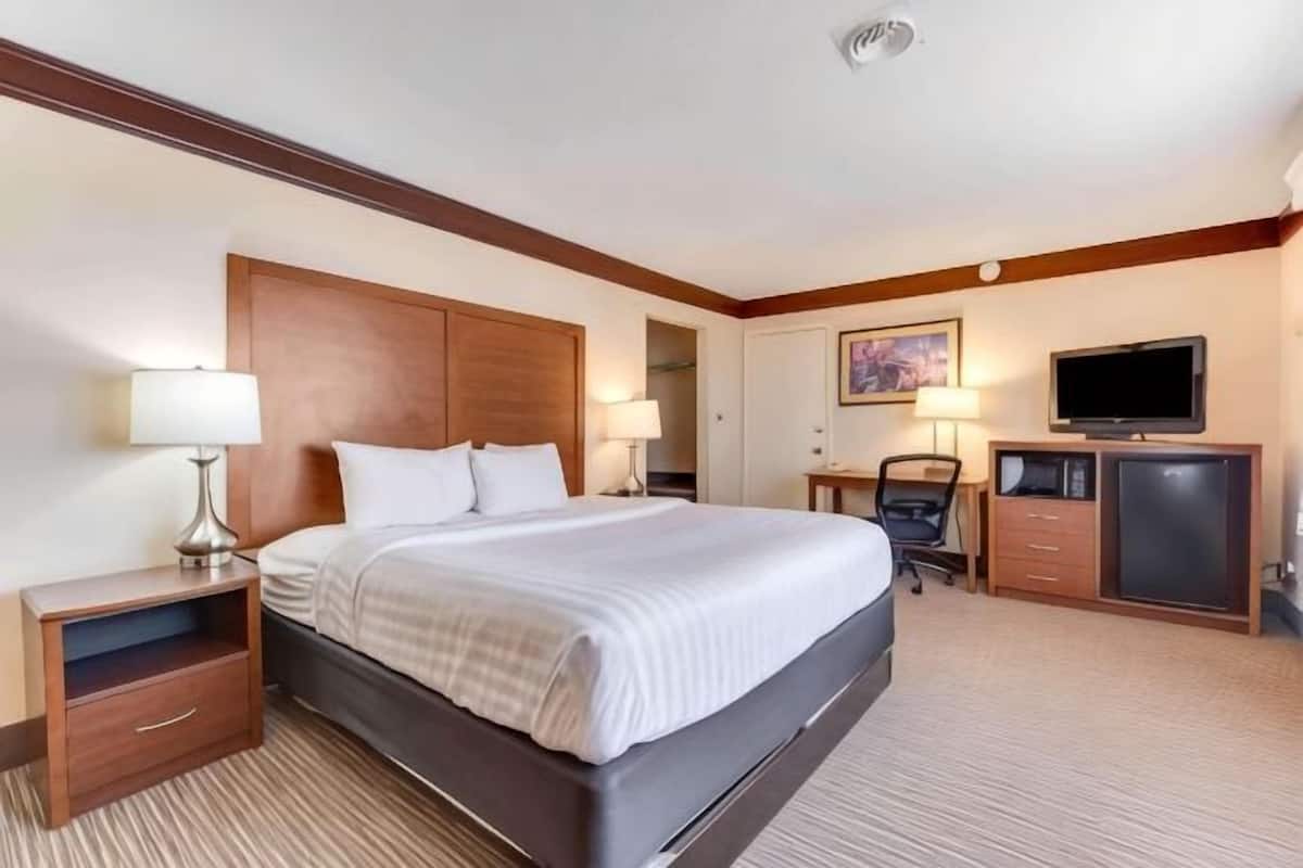 Skrivbord, mörkläggningsgardiner, strykjärn/strykbräda och gratis wi-fi