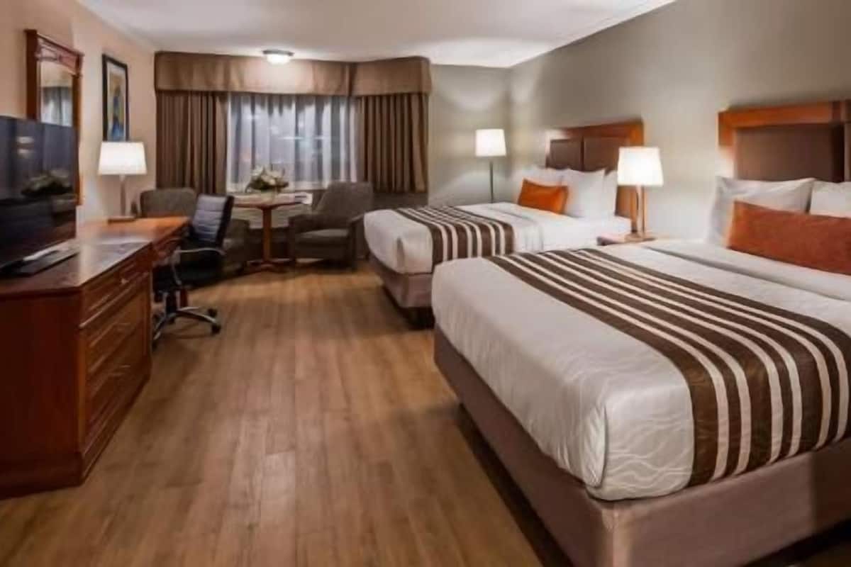 Ropa de cama hipoalergénica y caja de seguridad en la habitación