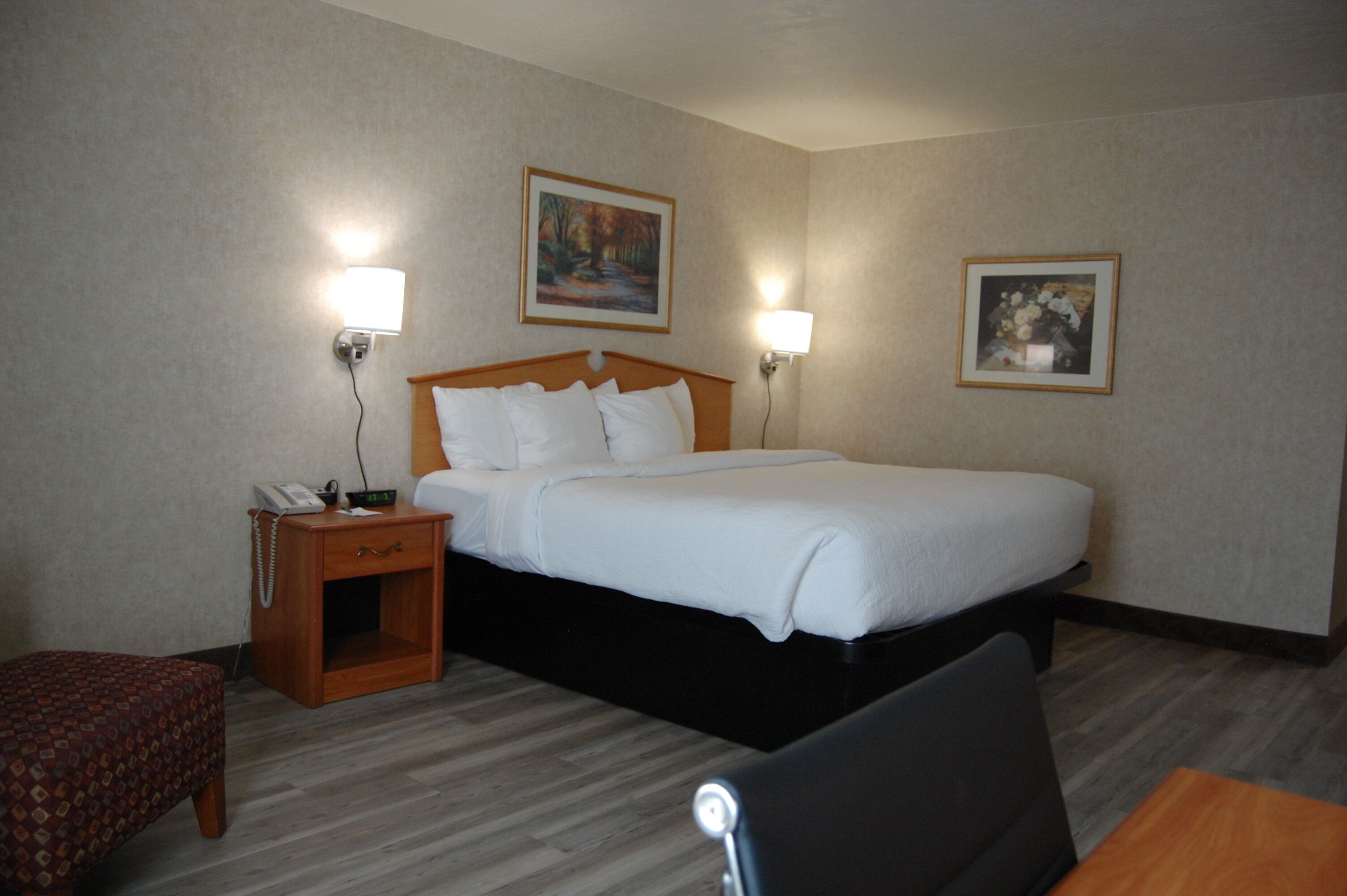 Quarto, 1 cama King, para não fumantes | Cofres nos quartos, escrivaninha, espaço de trabalho para notebook