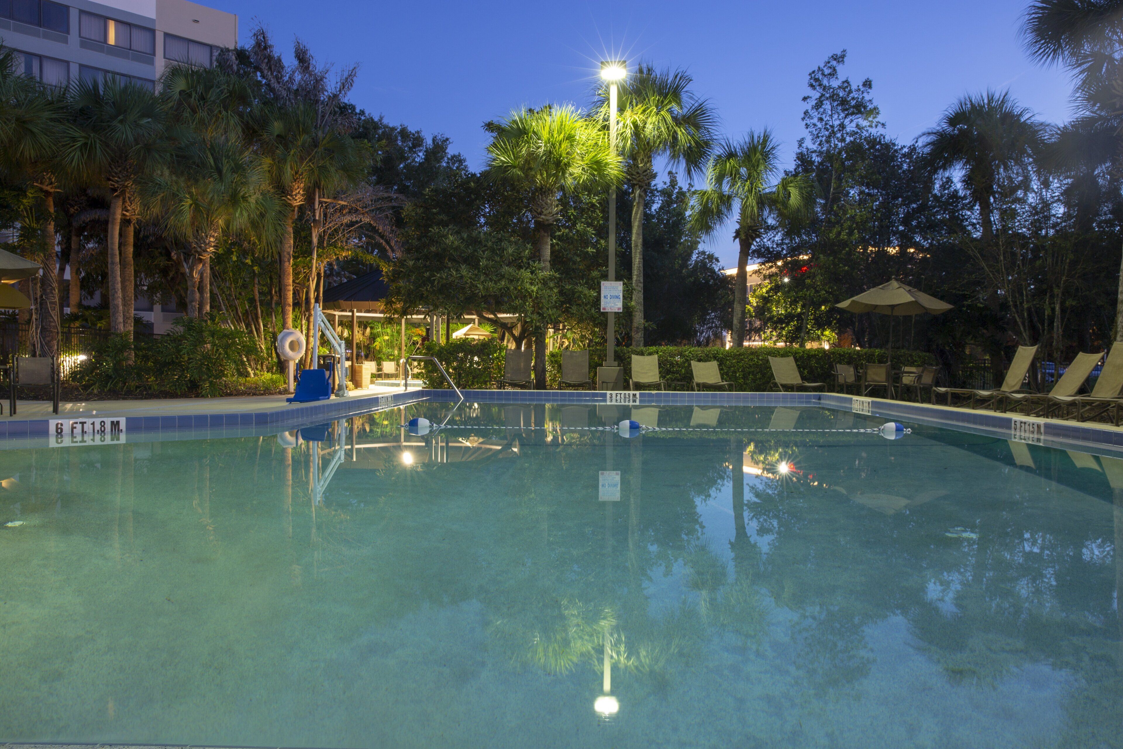 A swimming pool with clear water, surrounded by palm trees and lounge chairs.