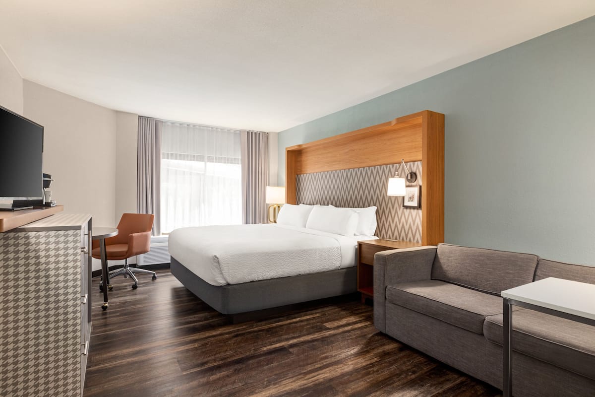 A hotel room with a bed, a desk, a chair, a sofa, and a television.
