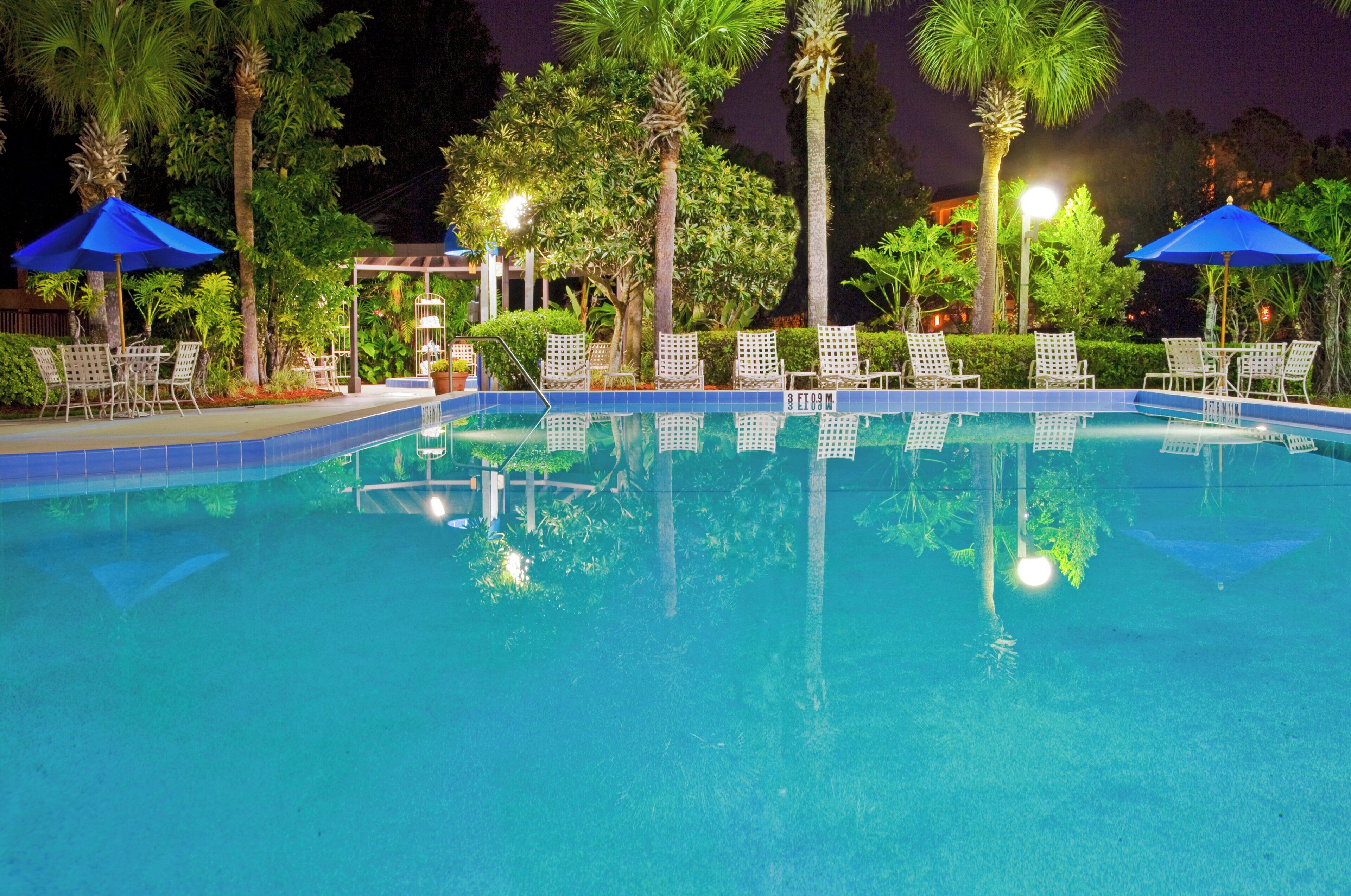 Una piscina con sillas de descanso y sombrillas, rodeada de palmeras y follaje.