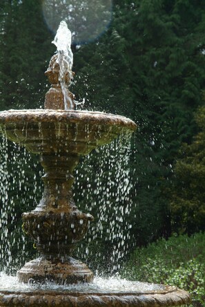 Jardín
