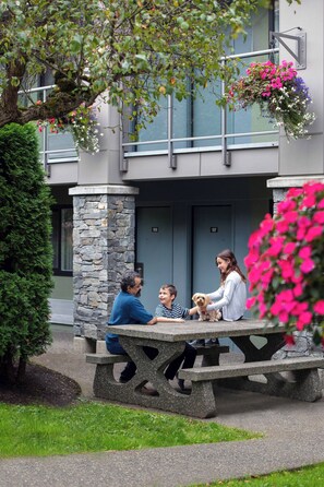 BBQ/picnic area