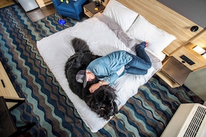 King Room | Pillowtop beds, desk, laptop workspace, blackout drapes