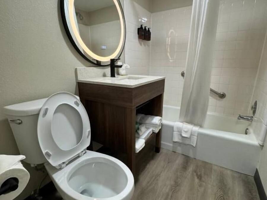 Un baño con inodoro, lavabo, espejo y ducha.