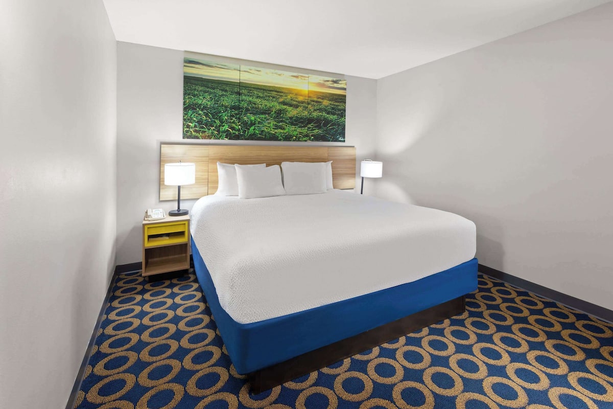 A hotel room with a large bed, two bedside lamps, a nightstand, and a wall-mounted painting of a field.