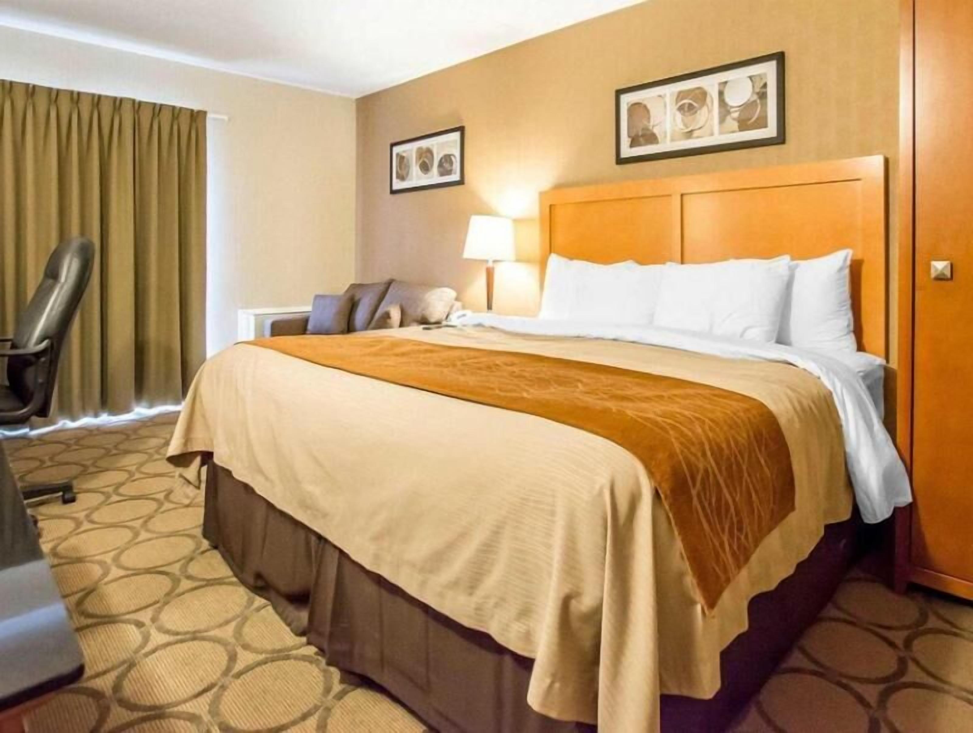 Premium bedding, pillowtop beds, desk, blackout drapes