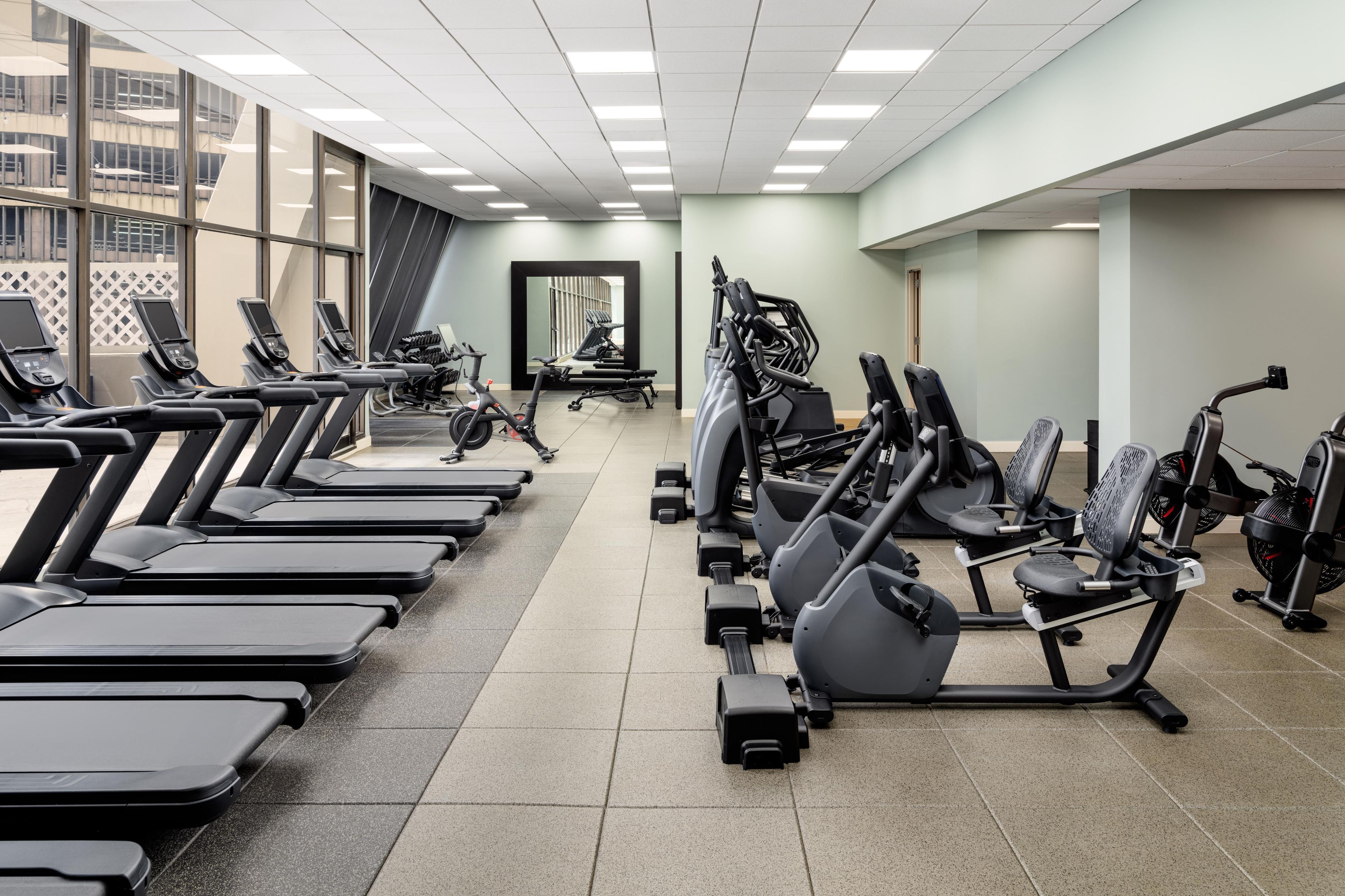 A gym with multiple treadmills, elliptical machines, and stationary bikes arranged in rows.