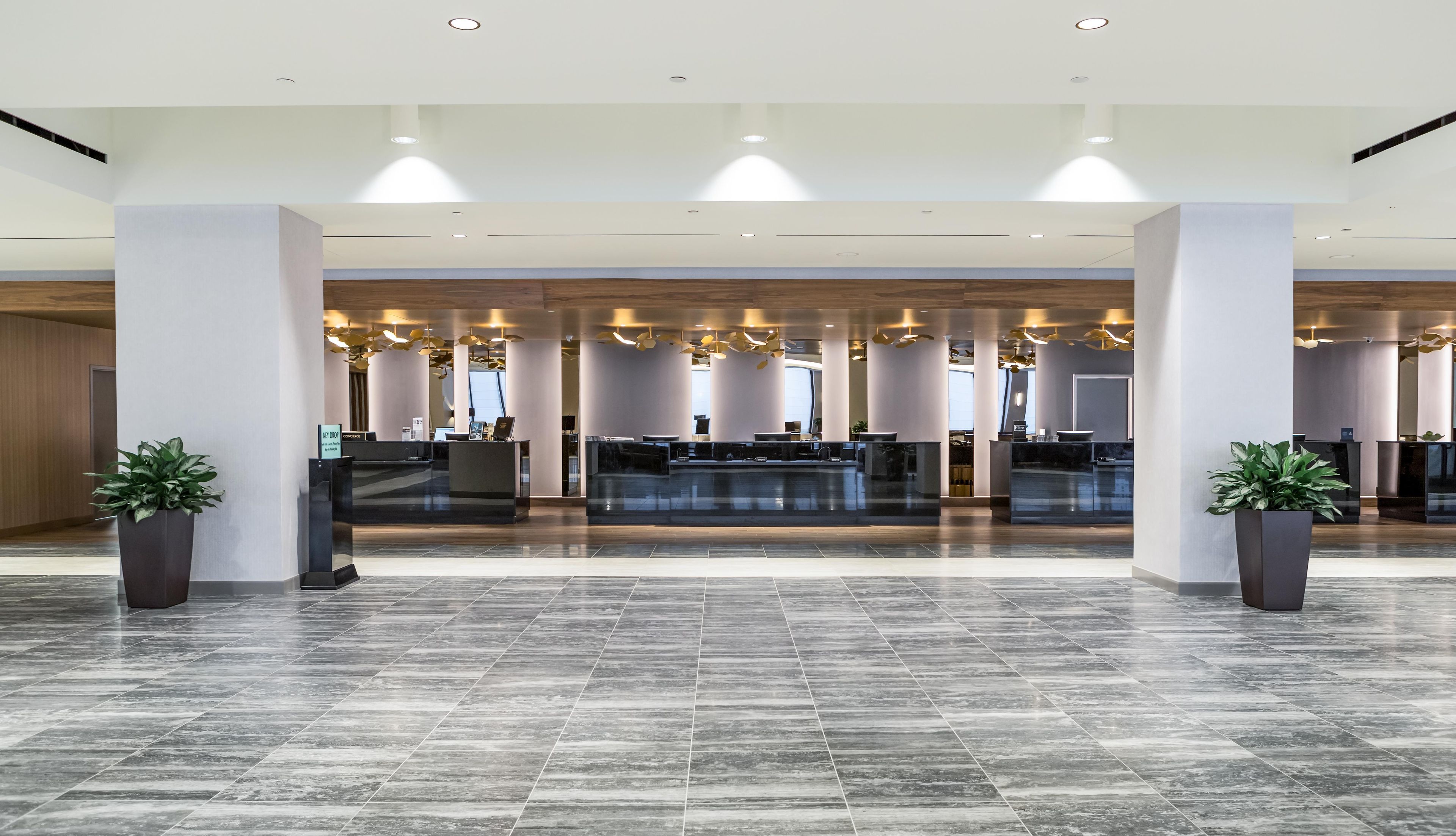 A spacious lobby with a reception desk, modern lighting, and potted plants.