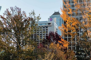 Eksteriør