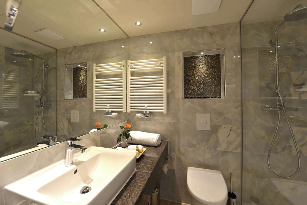 shower, free toiletries, hair dryer, towels