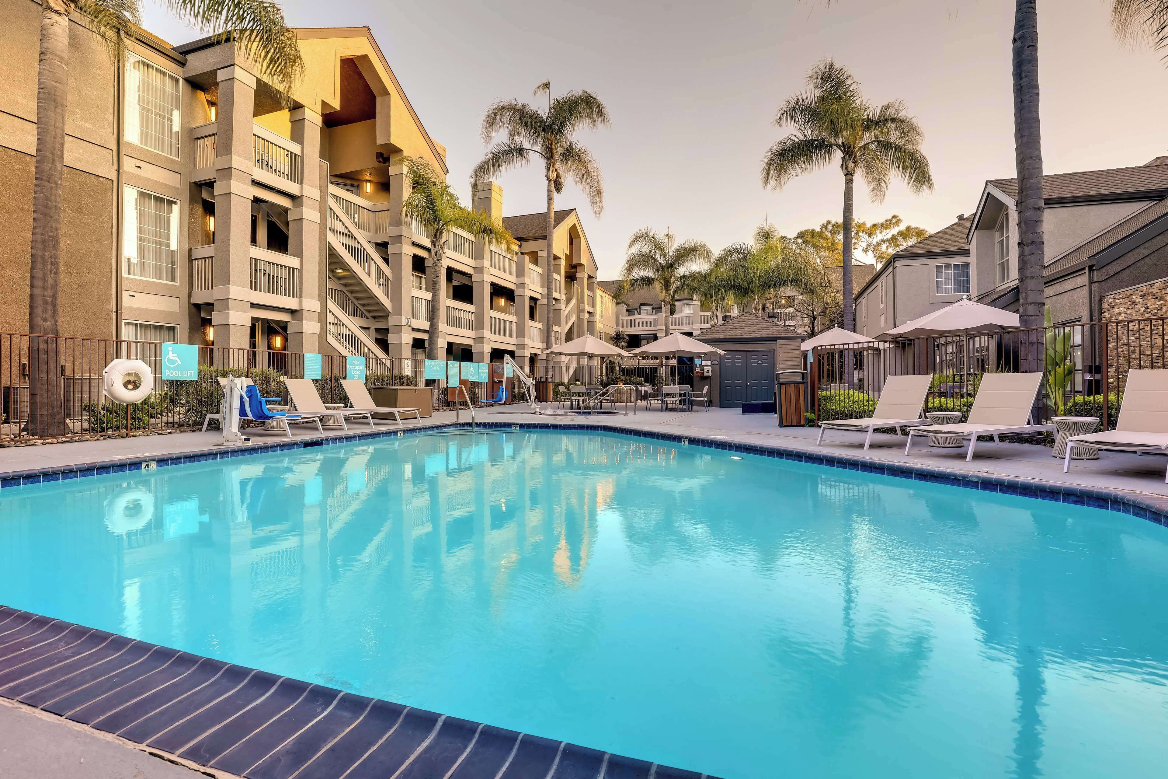 Outdoor pool, sun loungers