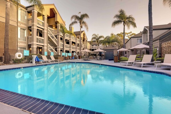 Outdoor pool, sun loungers