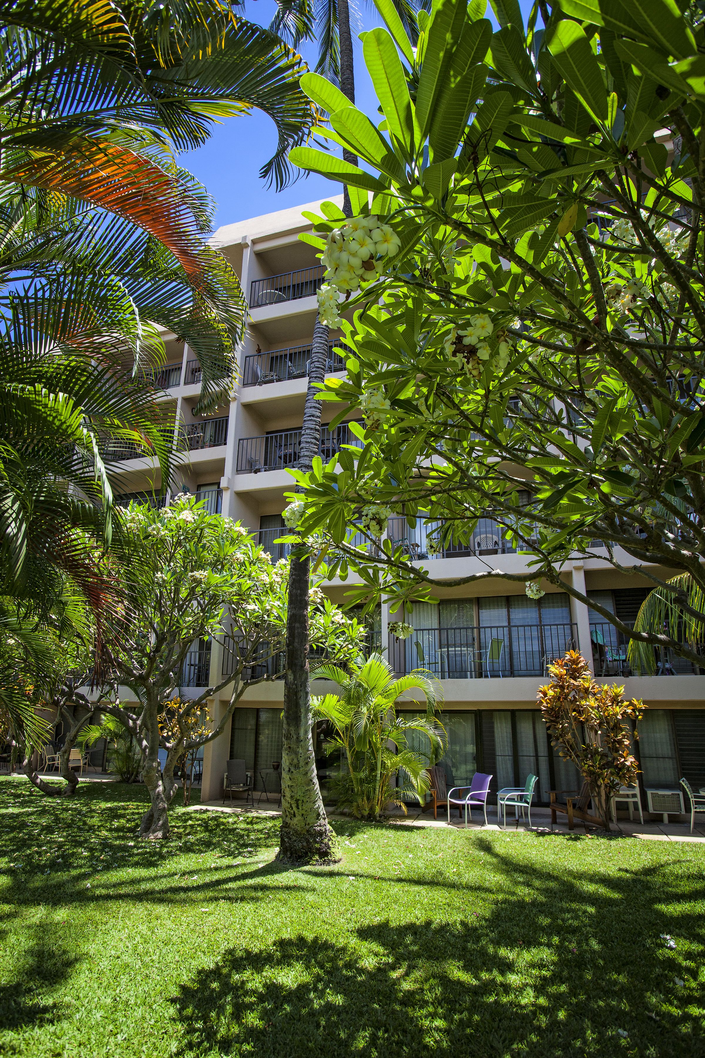 Un hôtel doté d’un jardin luxuriant, de sièges en plein air et d’un bâtiment à plusieurs étages avec des balcons.