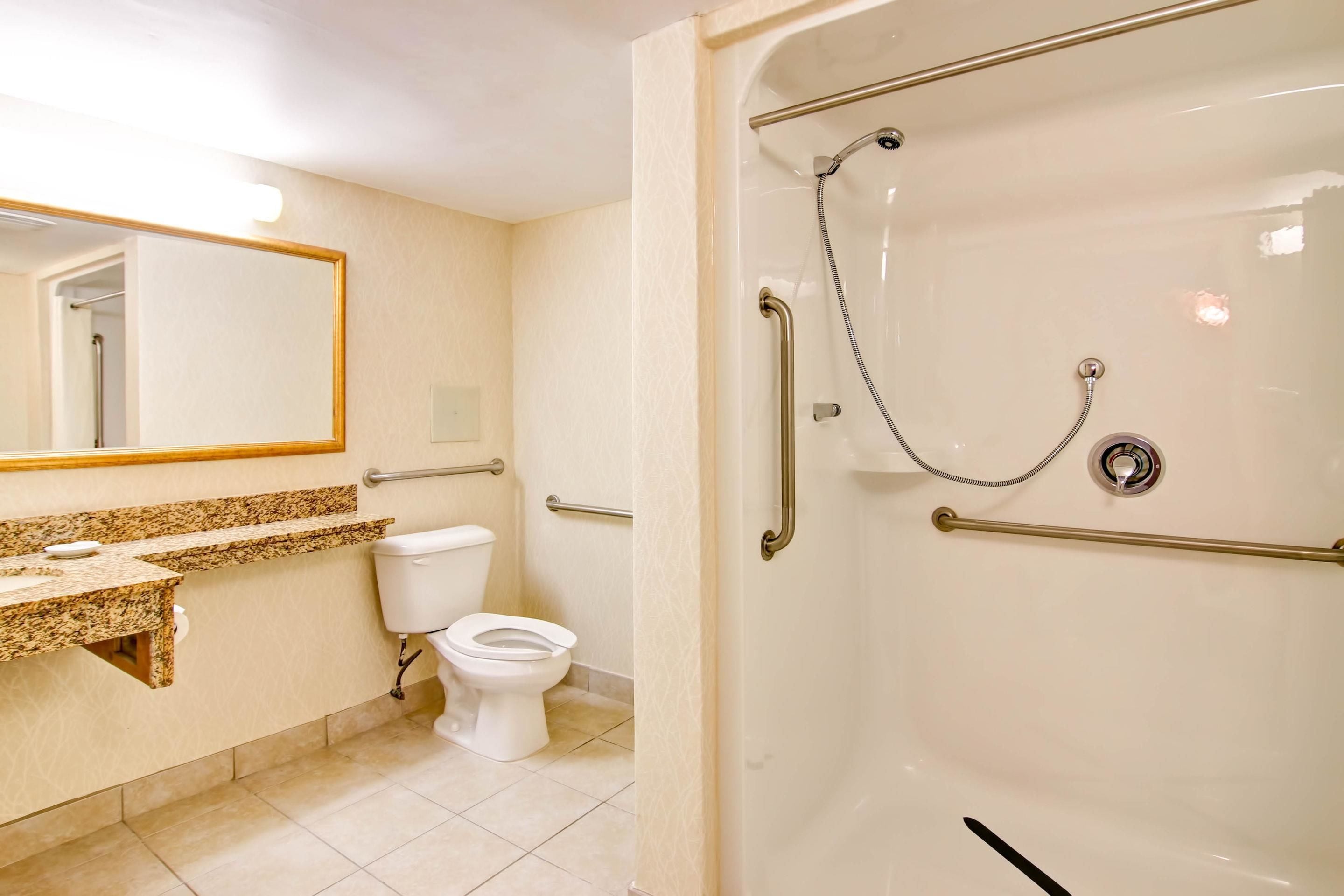 A bathroom with a toilet, a sink with a granite countertop, a mirror, and a walk-in shower with grab bars.