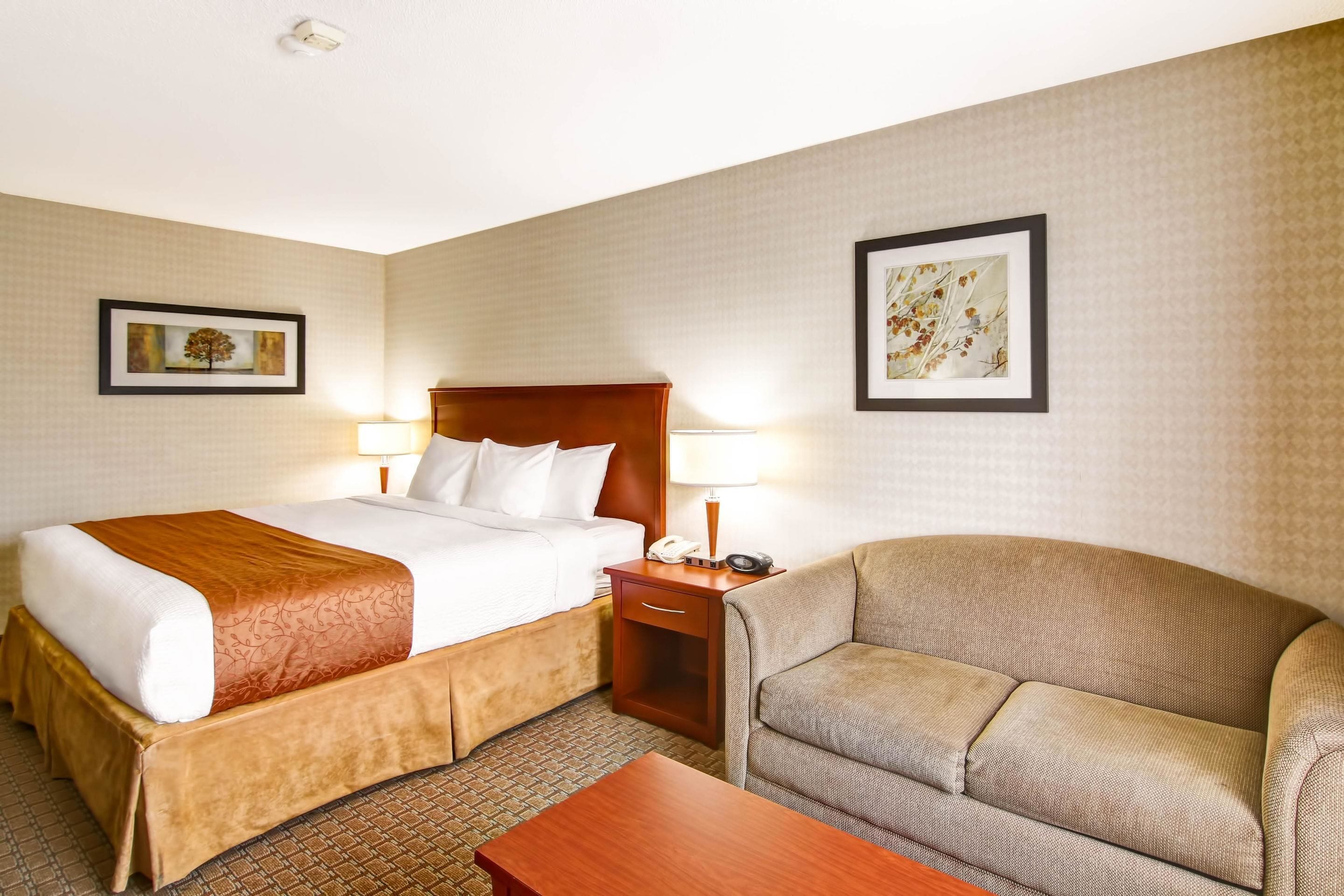 A hotel room with a bed, a sofa, a nightstand with a lamp, and a framed picture on the wall.