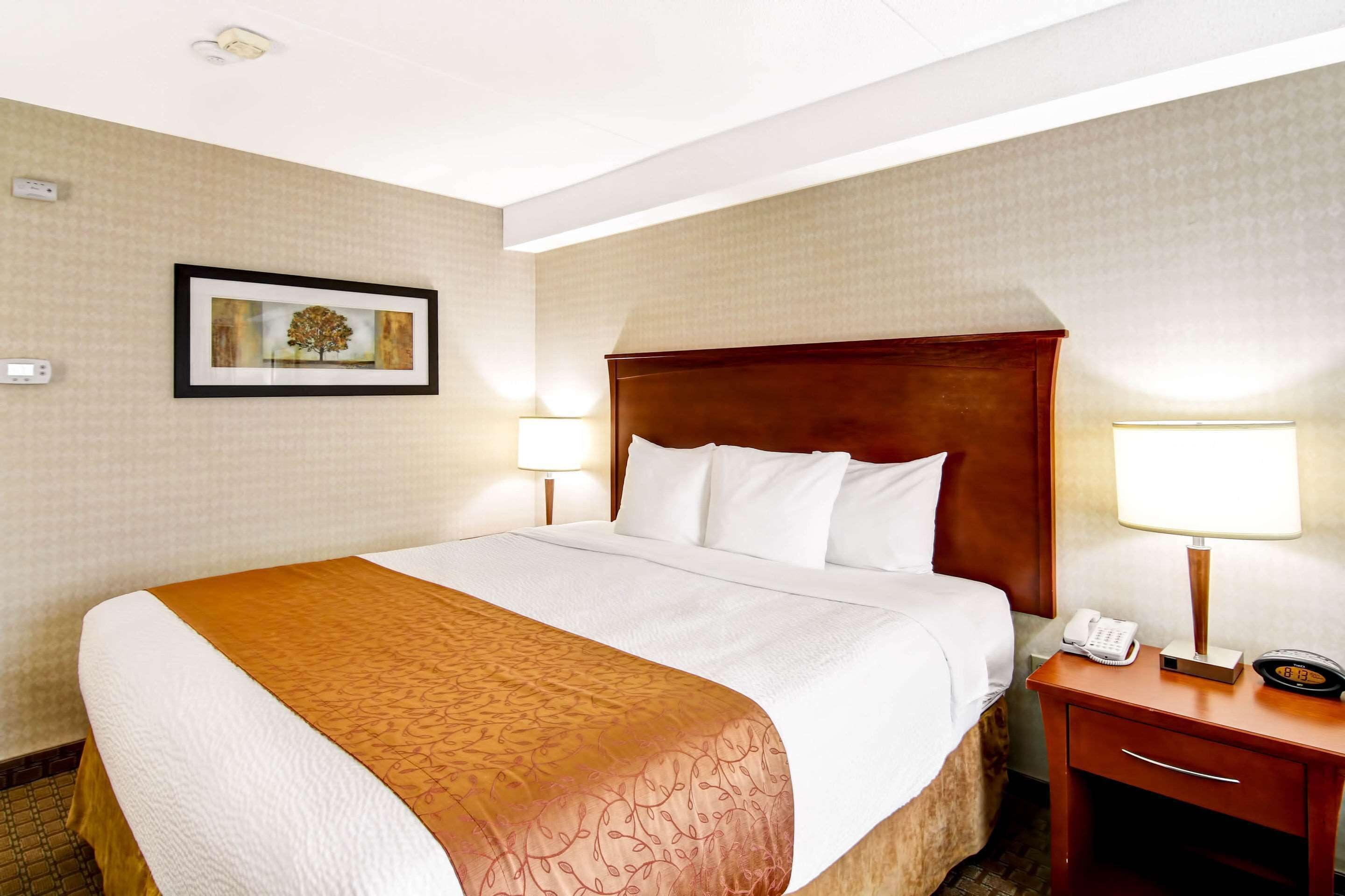 A hotel room with a large bed, a wooden headboard, two bedside lamps, a nightstand with a telephone, and a framed picture on the wall.