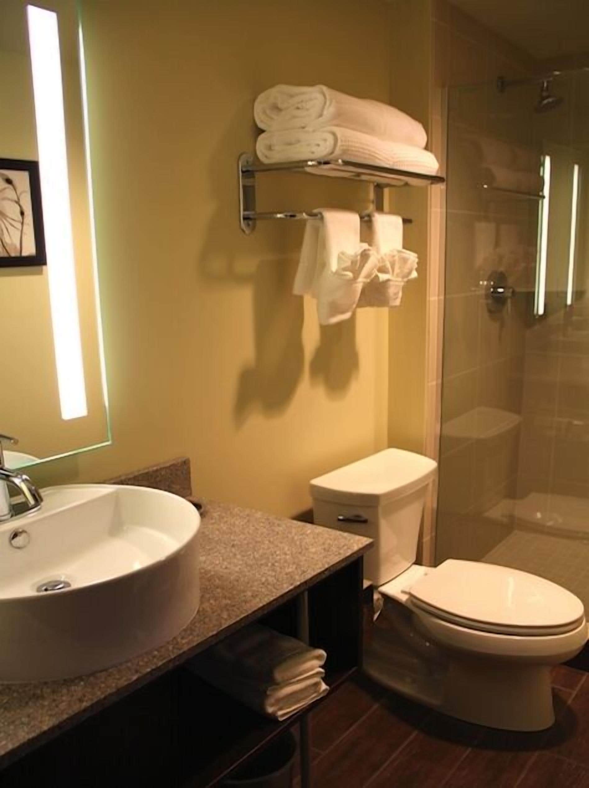 classic room, 1 king bed | bathroom | shower, designer toiletries, hair dryer, bathrobes
