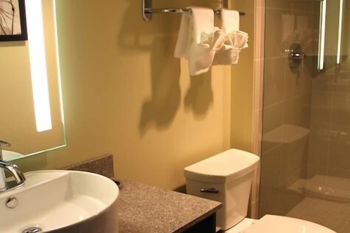 classic room, 1 king bed | bathroom | shower, designer toiletries, hair dryer, bathrobes