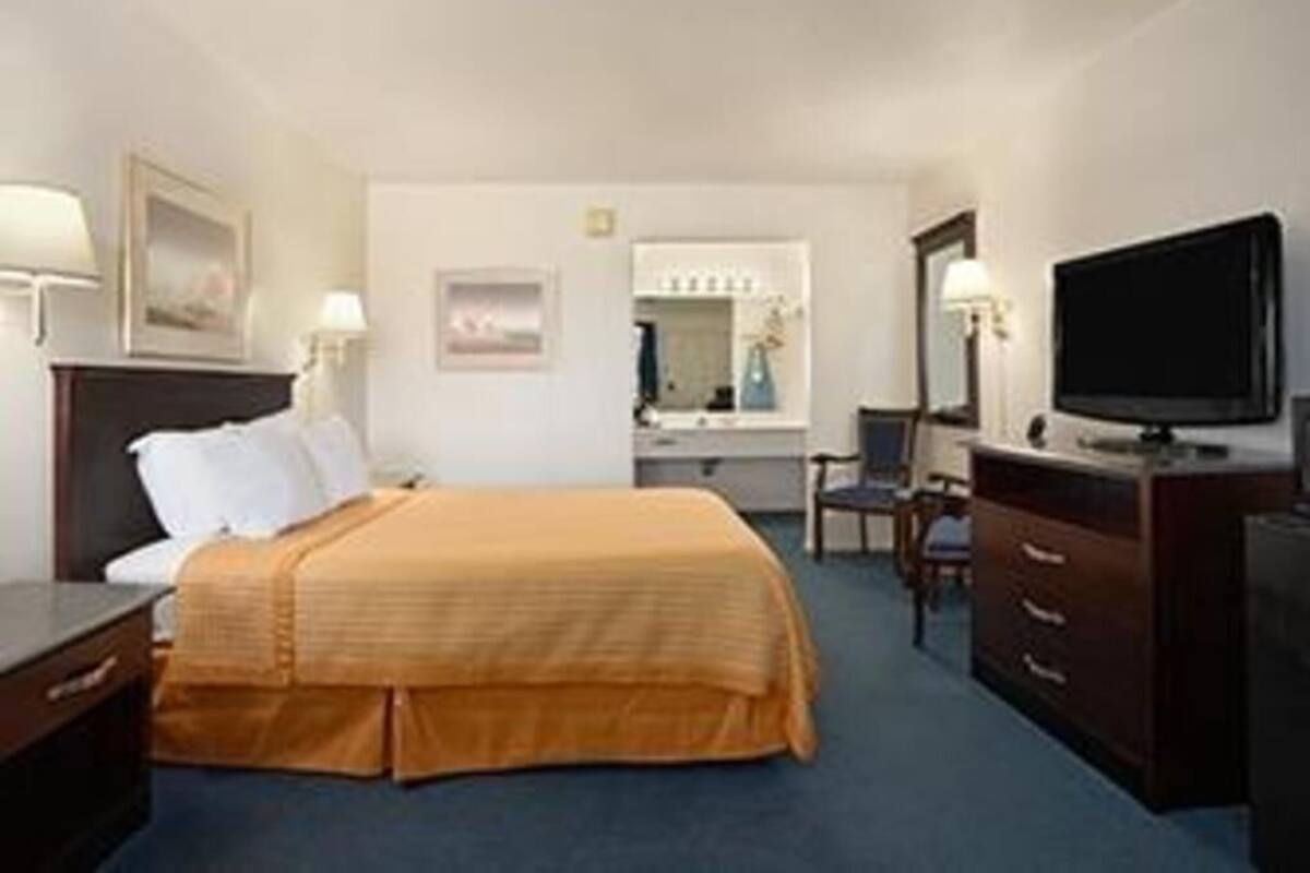 Iron/ironing board, free cribs/infant beds, rollaway beds, free WiFi