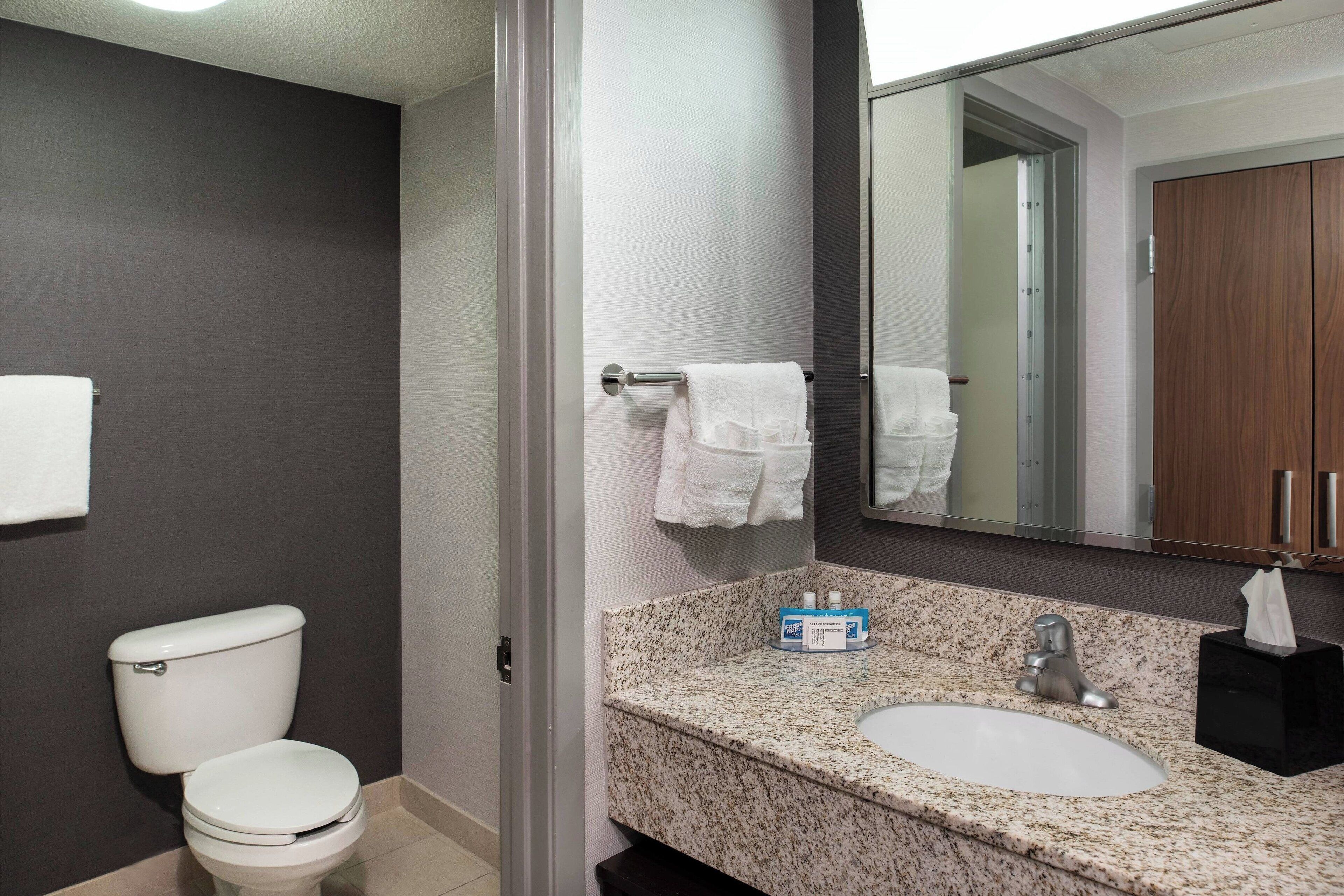 combined shower/bathtub, free toiletries, hair dryer, towels