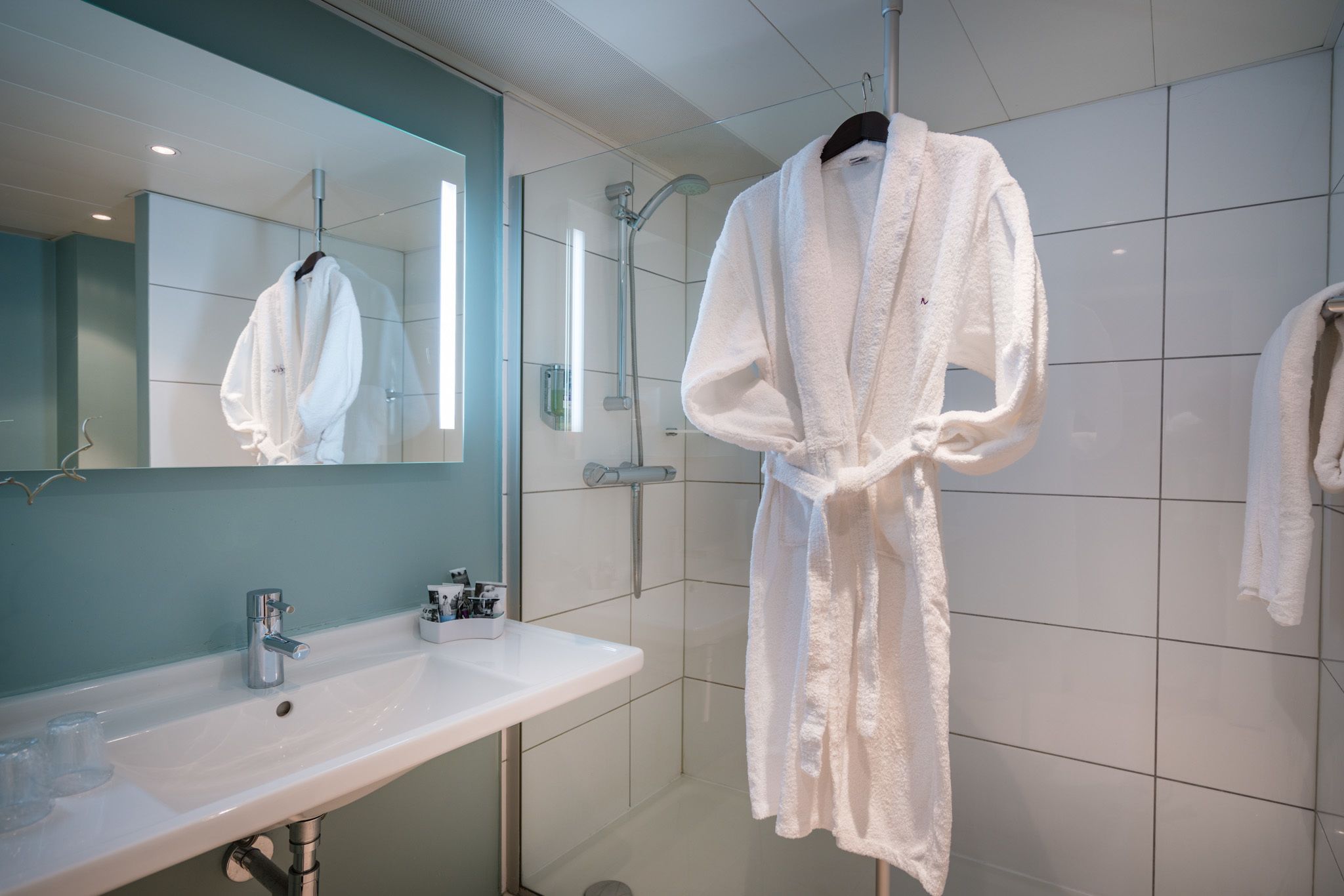 Habitación Deluxe, 1 cama matrimonial, vista al parque | Baño | Amenidades de baño ecológicas, secadora de cabello, toallas 